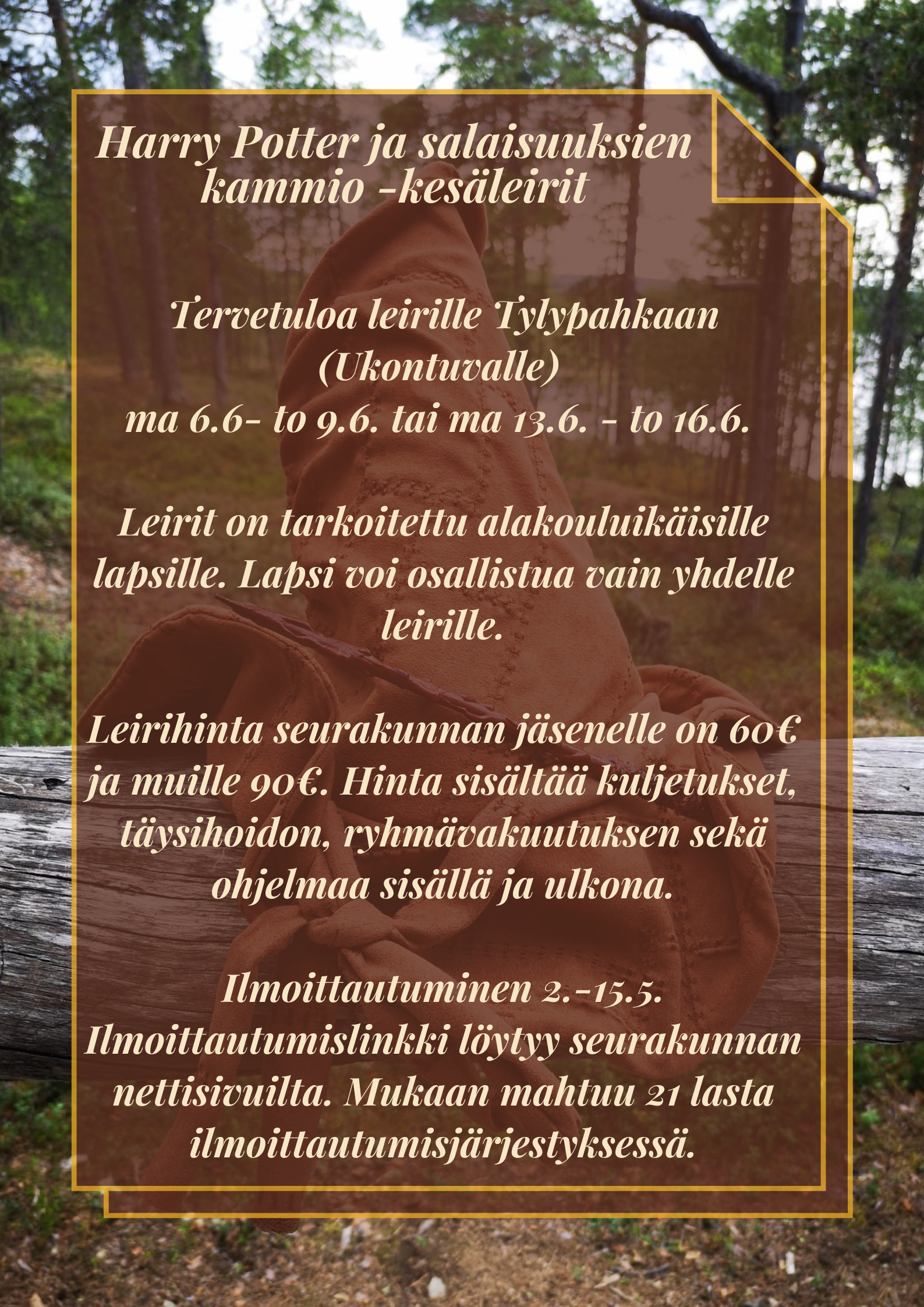 Mainos kesäleiristä