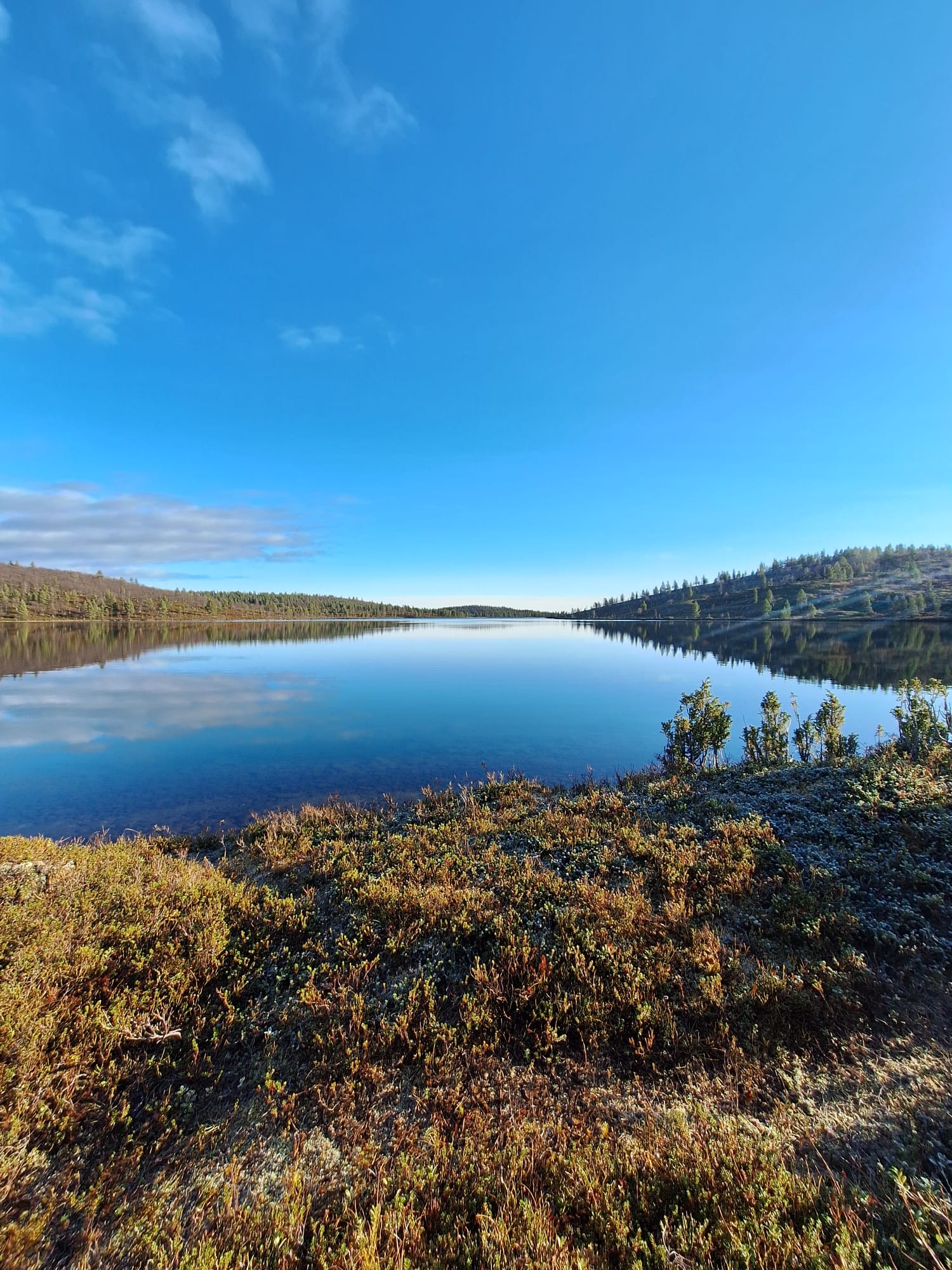 Kuvassa tunturijärvi